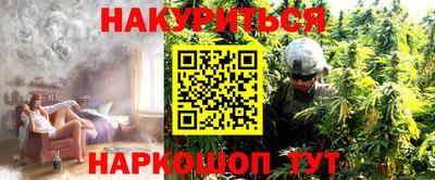 шишки Можга