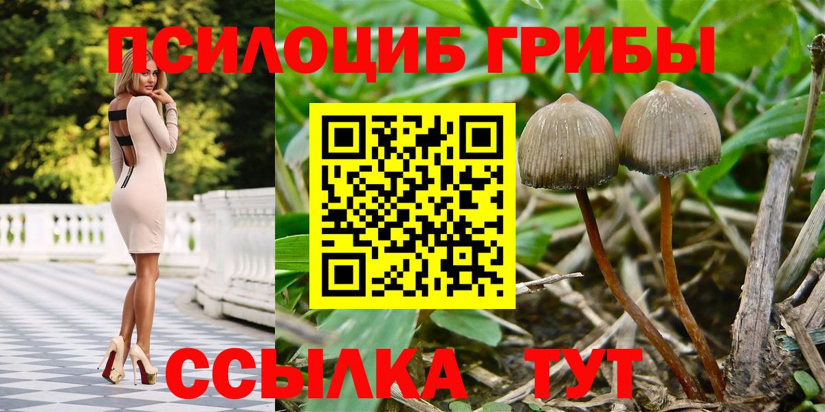 Псилоцибиновые грибы мицелий  Вход с VPN  Ухта 