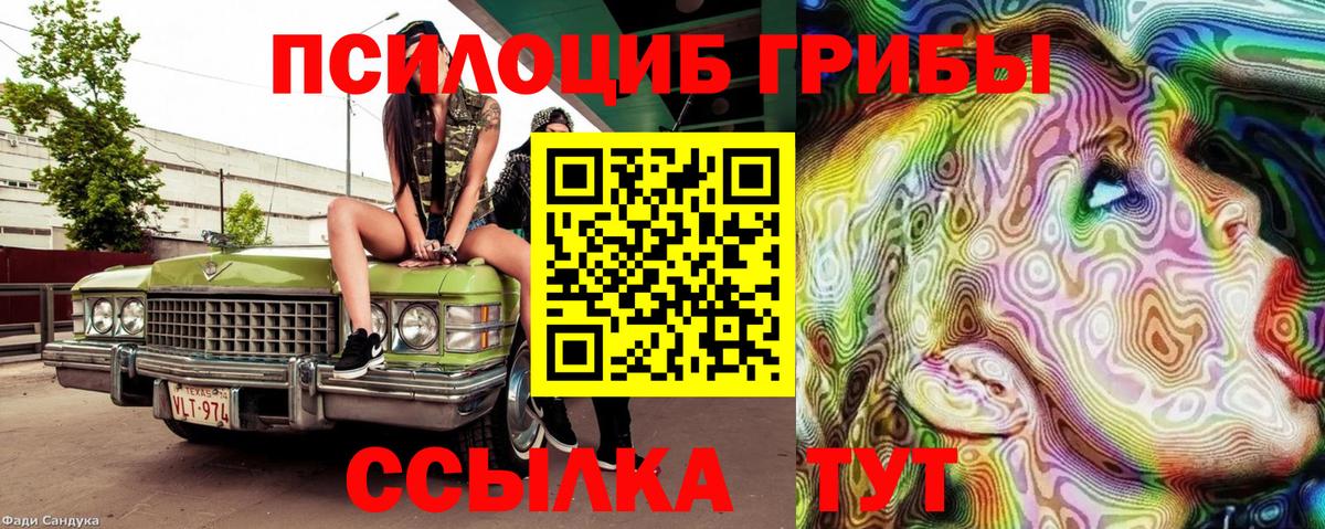 Галлюциногенные грибы Psilocybe Ухта